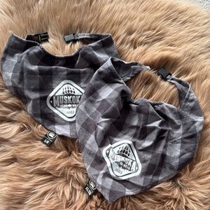 Muskoka Bear Wear Dog Bandana (Set of 2)